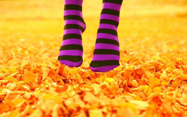 Person striped socks leaves green free wallpaper for desktop - medium preview image