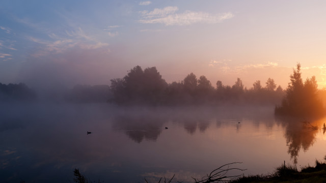 Sunset lake ducks fog mountain free wallpaper for desktop - medium preview image