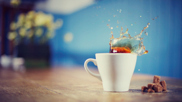 Tea splash dogfood outdoor blurry free wallpaper for desktop - medium preview image