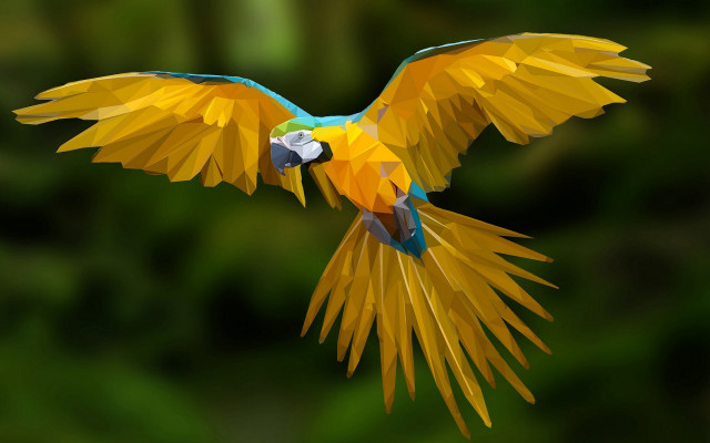 Colorful bird flying green background free wallpaper for desktop - medium preview image