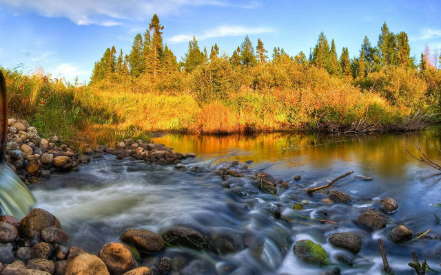 Lush forest river bridge autumn free wallpaper for desktop - medium preview image