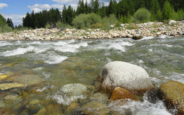River rocks water trees sky free wallpaper for desktop - medium preview image
