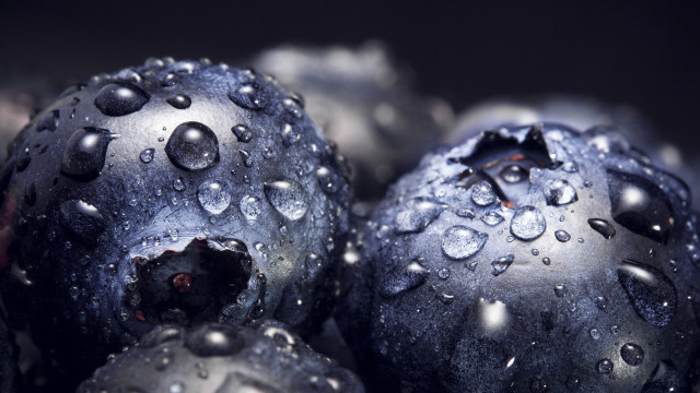 Blueberries water droplets black background free wallpaper for desktop - medium preview image
