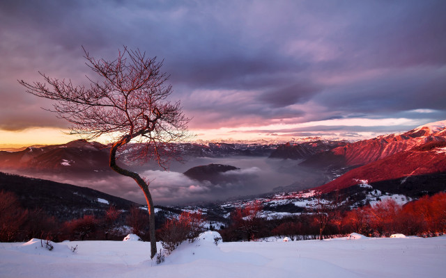 Snowy tree mountains sunset landscape free wallpaper for desktop - medium preview image