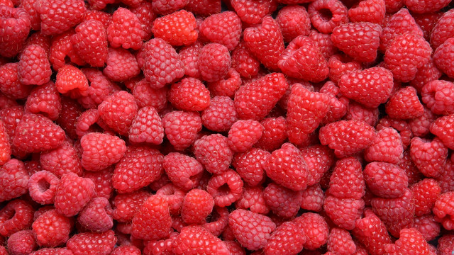 Raspberries red background macro berries free wallpaper for desktop - medium preview image