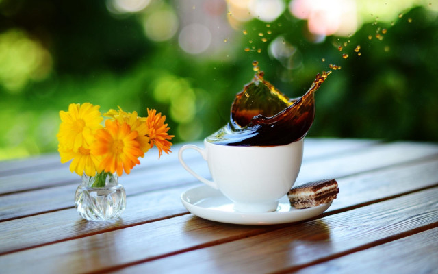 Coffee splash flower vase morning free wallpaper for desktop - medium preview image