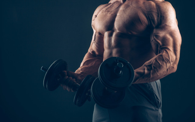Muscular man dumbbells stock photo free wallpaper for desktop - medium preview image