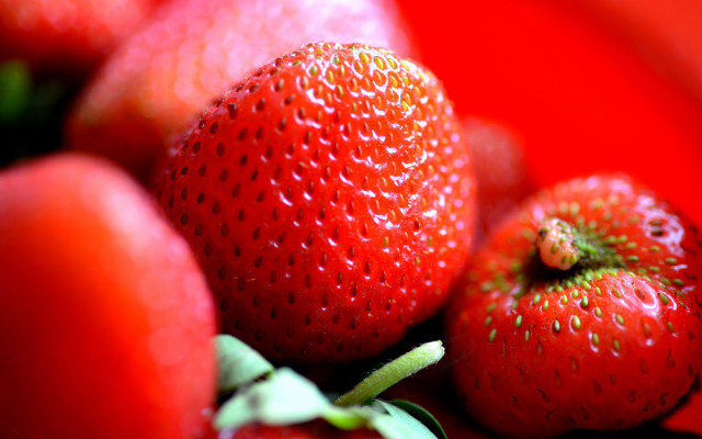 Strawberries redplate greenstem bowl berry free wallpaper for desktop - medium preview image