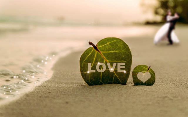 Beach love leaf heart sunset free wallpaper for desktop - medium preview image