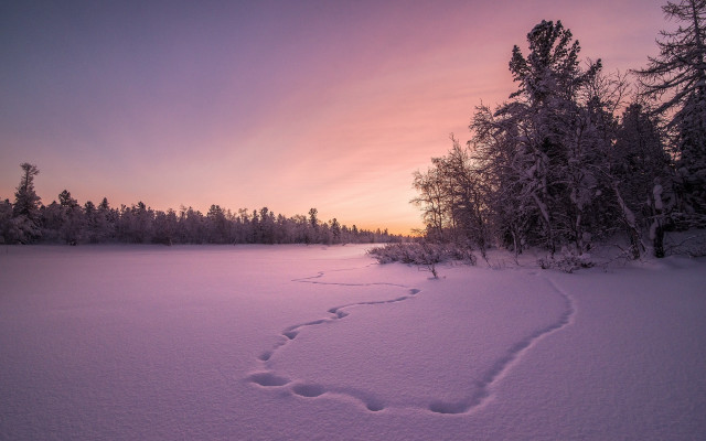 Snowy trail sunset trees landscape free wallpaper for desktop - medium preview image