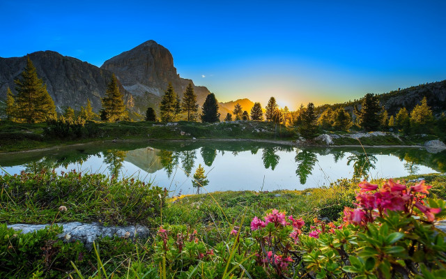 Lake mountains flowers sunset nature free wallpaper for desktop - medium preview image