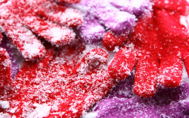 Gloves snow autumn leaves forest free wallpaper for desktop - medium preview image