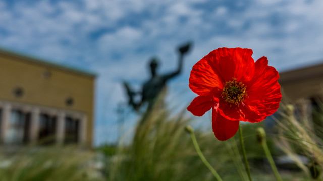 Red flower statue building bokeh free wallpaper for desktop - medium preview image