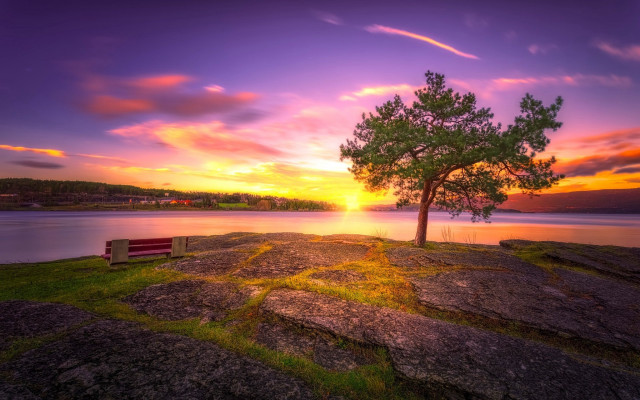 Lone tree rocky cliff lake free wallpaper for desktop - medium preview image