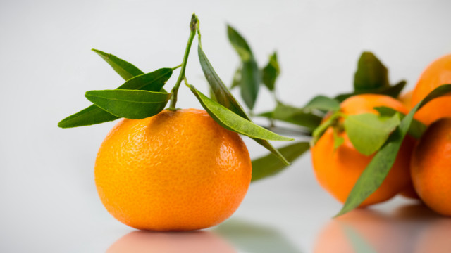 Oranges leaves table white background free wallpaper for desktop - medium preview image
