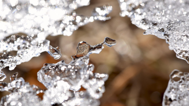 Ice crystals water droplets macro free wallpaper for desktop - medium preview image