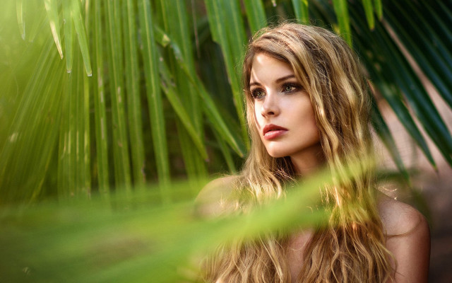 Woman longhair palm tree blurry free wallpaper for desktop - medium preview image