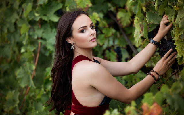 Woman red dress grapes outdoors free wallpaper for desktop - medium preview image