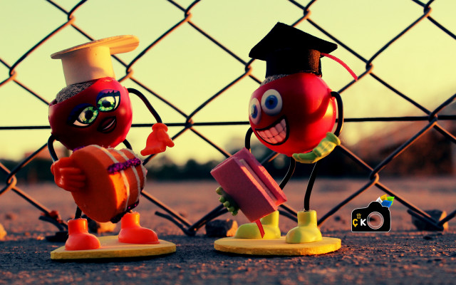 Toyfigurines fence tomato hat claymation free wallpaper for desktop - medium preview image