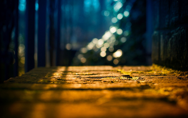 Street bokeh autumn tiltshift nature free wallpaper for desktop - medium preview image
