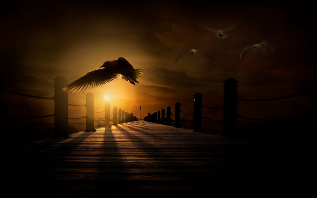 Bird pier sunset flying birds free wallpaper for desktop - medium preview image