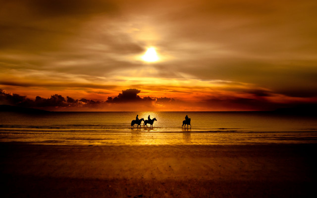 Beach horses sunset clouds landscape free wallpaper for desktop - medium preview image