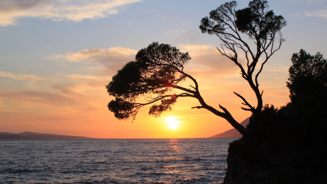Tree cliff ocean sunset boat free wallpaper for desktop - medium preview image