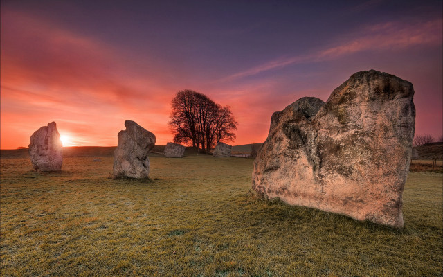 Sunset field rocks lone tree free wallpaper for desktop - medium preview image