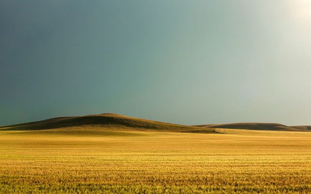 Grass hill sun landscape color free wallpaper for desktop - medium preview image