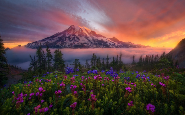 Mountain clouds flowers colorful sky #2 free wallpaper for desktop - medium preview image