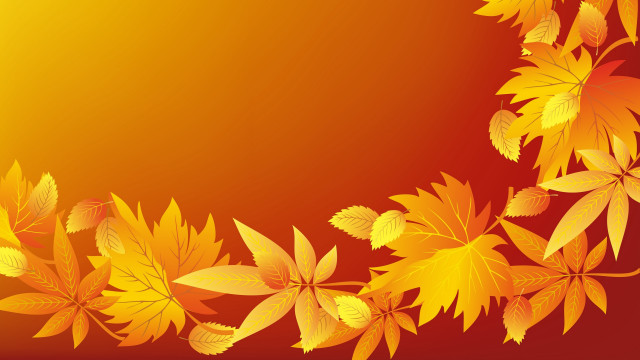Autumn leaves fireworks flower background free wallpaper for desktop - medium preview image