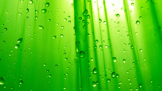 Green curtain water drops macro free wallpaper for desktop - medium preview image