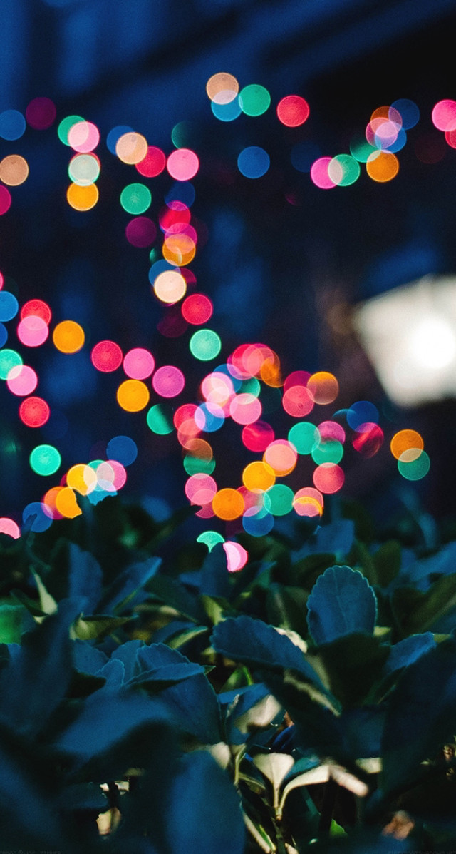 Blurry lights bush leaves background free wallpaper for mobile - medium preview image