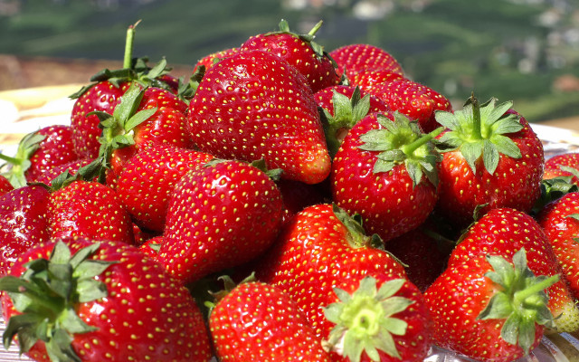 Strawberries basket table impressionism jigsaw free wallpaper for desktop - medium preview image