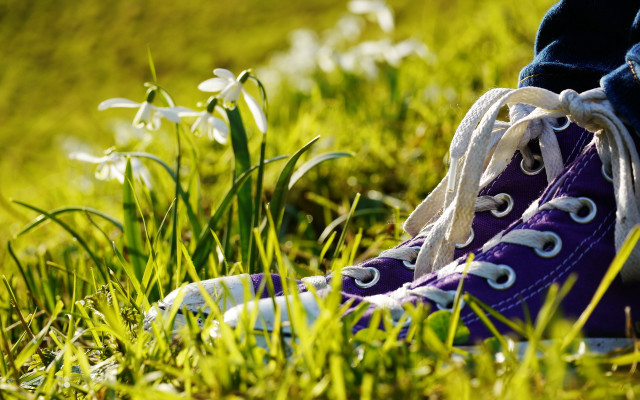 Purple sneakers grass flower bokeh free wallpaper for desktop - medium preview image