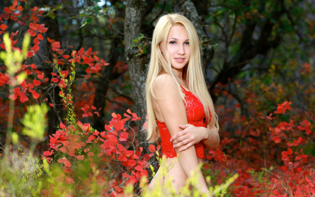 Red bikini woman flower field free wallpaper for desktop - medium preview image