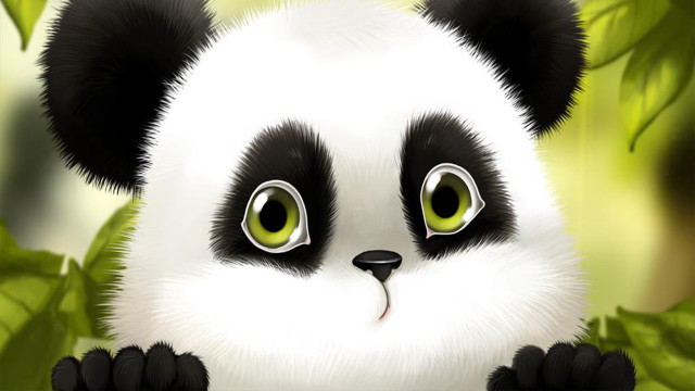 Panda green eyes leaves blurry free wallpaper for desktop - medium preview image