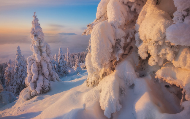 Snowy mountain trees sunset blue free wallpaper for desktop - medium preview image