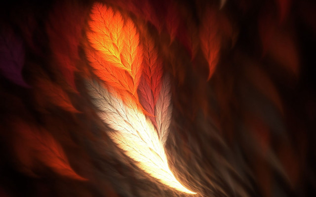 Blurry leaf abstract warm autumn free wallpaper for desktop - medium preview image