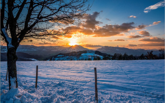 Snowy fence tree sunset mountains free wallpaper for desktop - medium preview image