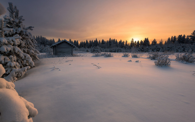Snowy cabin trees dusk matte free wallpaper for desktop - medium preview image