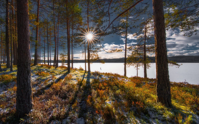 Sunshine snowy forest lake autumn free wallpaper for desktop - medium preview image