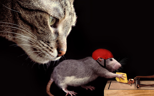 Cat mouse trap red hat free wallpaper for desktop - medium preview image