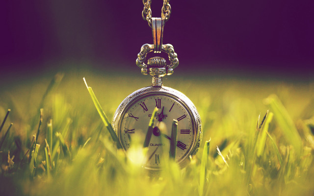 Pocketwatch grass chain magic circle free wallpaper for desktop - medium preview image