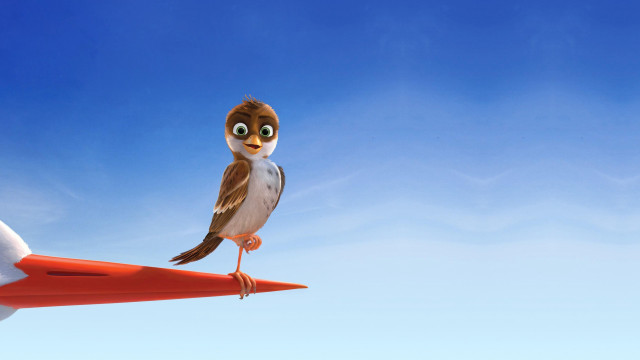 Bird red object sky gradient free wallpaper for desktop - medium preview image