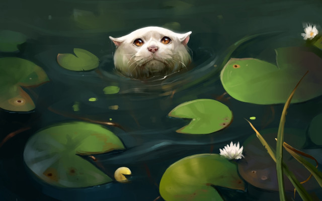 Cat swimming pond lilies magic free wallpaper for desktop - medium preview image