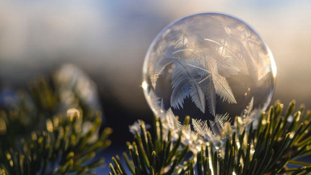 Crystal ball pine branch frosting free wallpaper for desktop - medium preview image