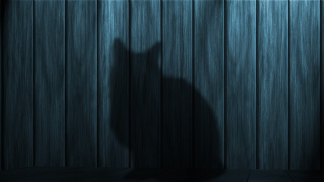 Cat standing dark wooden floor free wallpaper for desktop - medium preview image