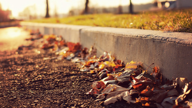 Autumn leaves street light blurry free wallpaper for desktop - medium preview image