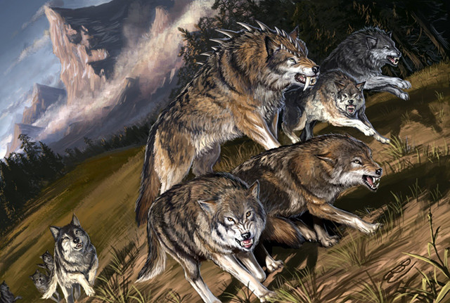 Wolves running field mountains clouds free wallpaper for desktop - medium preview image